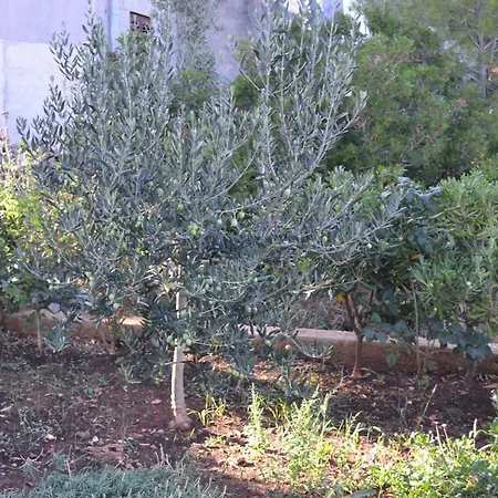 Nela شقة بوستيرا